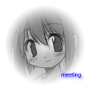 meeting